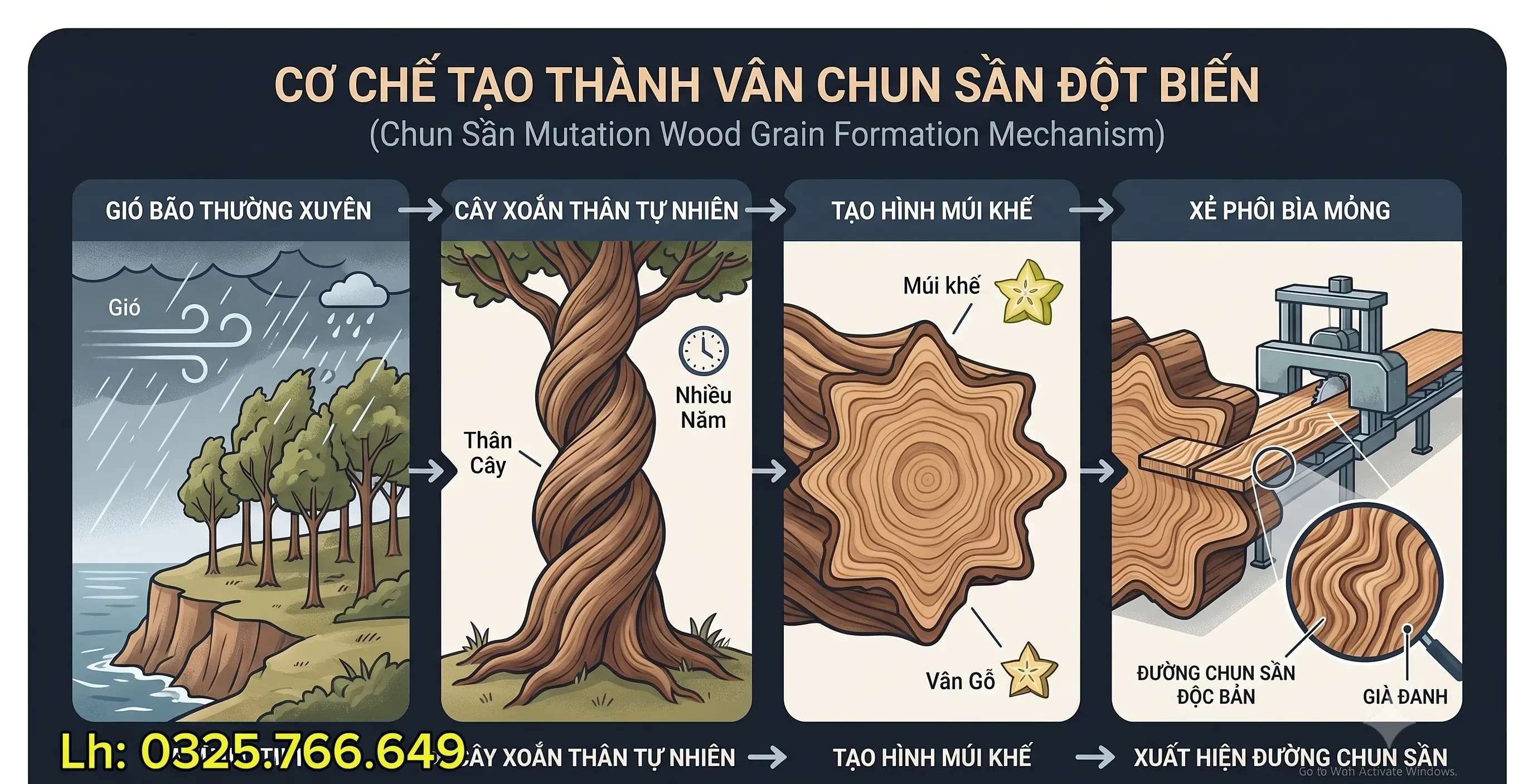 Sơ Đồ Tạo Vân Múi Khế