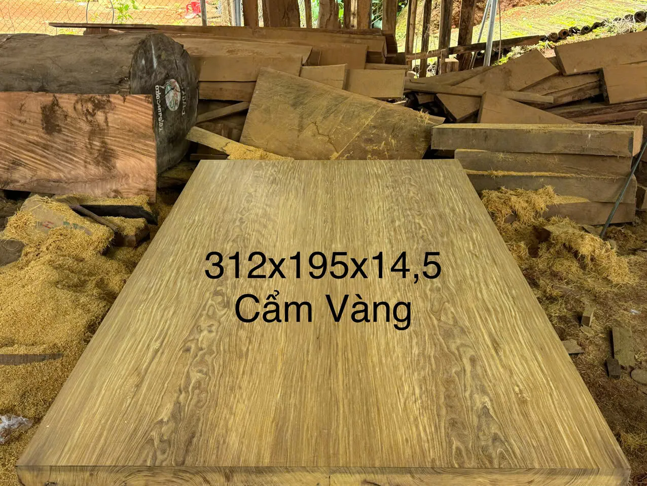 Sập Chiếu Ngựa Cẩm Vàng Vân Đối Xứng 312×195×14,5