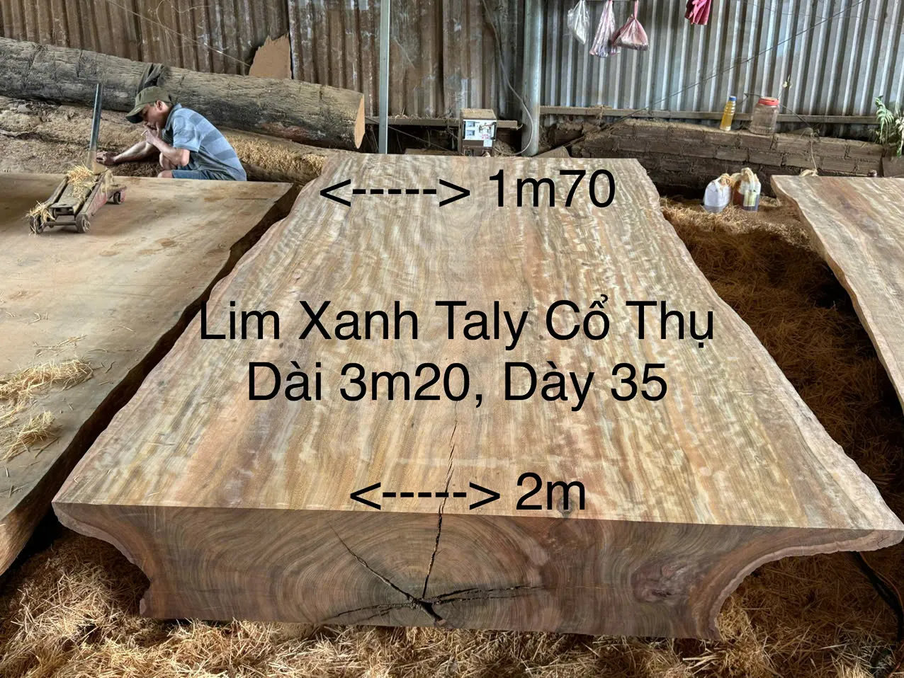 Tấm Lim Múi Khế số 22 lim xanh đột biến — dài 320, dày 35 cm