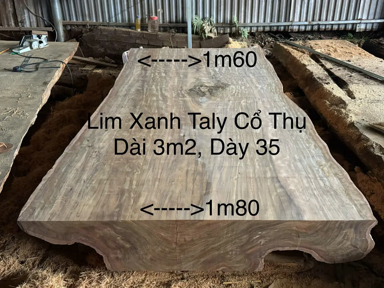 Tấm Lim Múi Khế số 21 lim xanh đột biến — dài 320, dày 35 cm