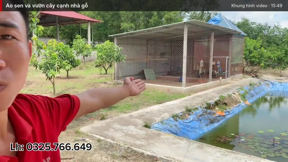 Ao sen và vườn cây cạnh nhà gỗ Ao sen và vườn cây cạnh nhà gỗ
