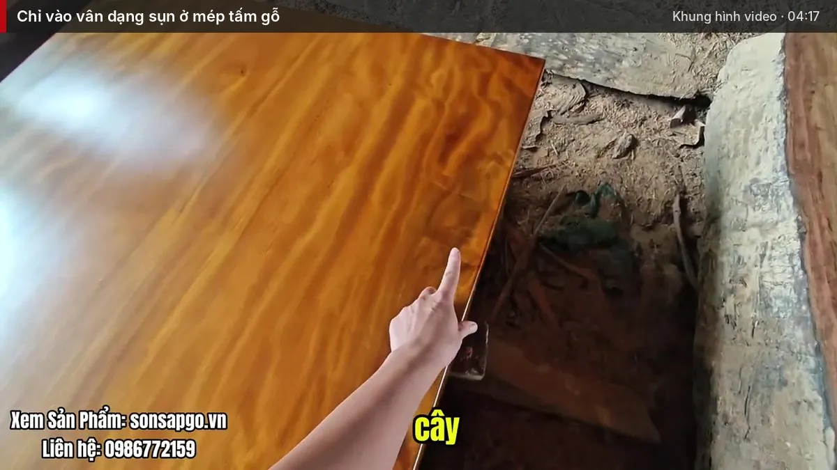 Em Sơn chỉ vào phần vân sụn ở mép tấm gỗ Em Sơn chỉ vào phần vân sụn ở mép tấm gỗ