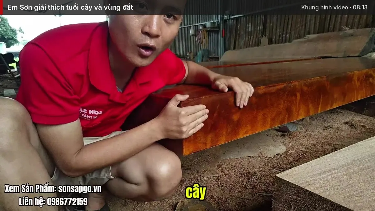 Em Sơn giải thích về tuổi cây và vùng đất Em Sơn giải thích về tuổi cây và vùng đất