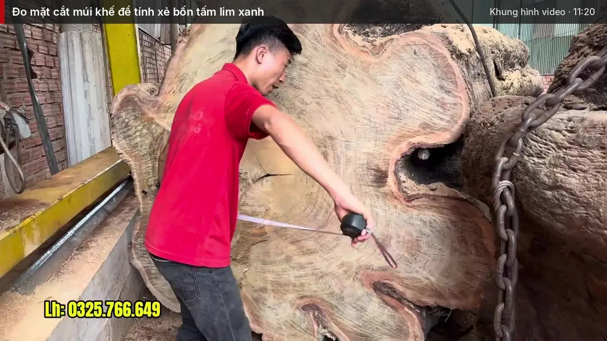 Đo mặt cắt múi khế để tính xẻ bốn tấm lim xanh