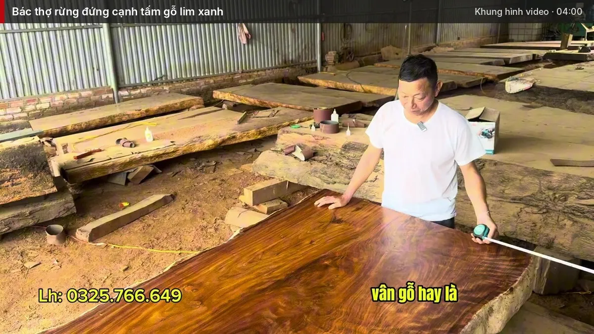 Bác thợ rừng đứng cạnh tấm gỗ lim xanh
