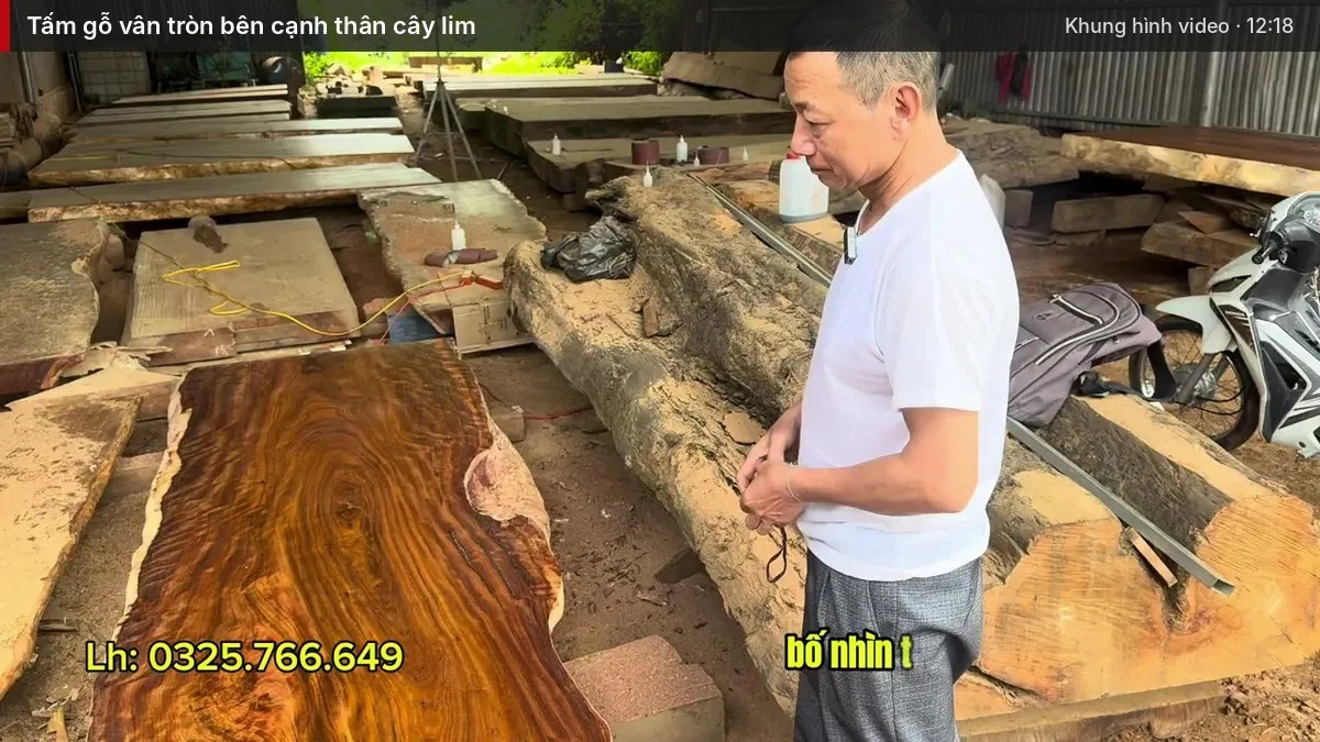 Tấm gỗ vân tròn bên cạnh thân cây lim