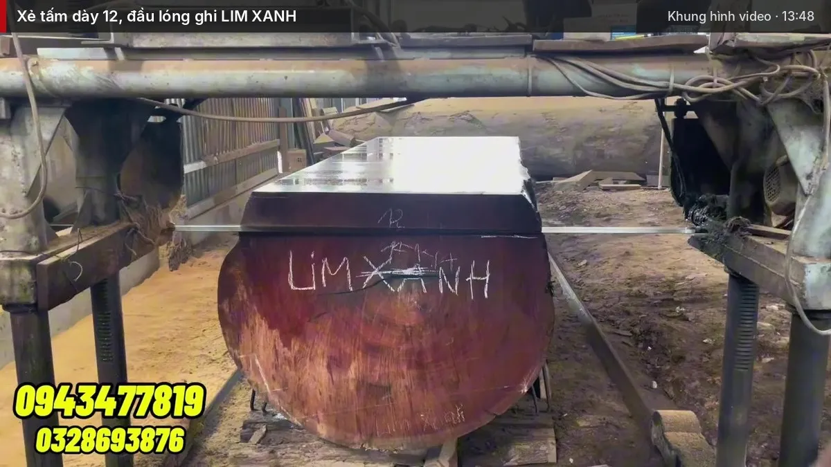 Xẻ tấm dày 12, đầu lóng ghi LIM XANH