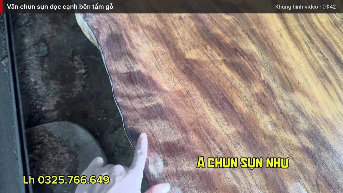 Vân chun sụn dọc cạnh bên tấm gỗ