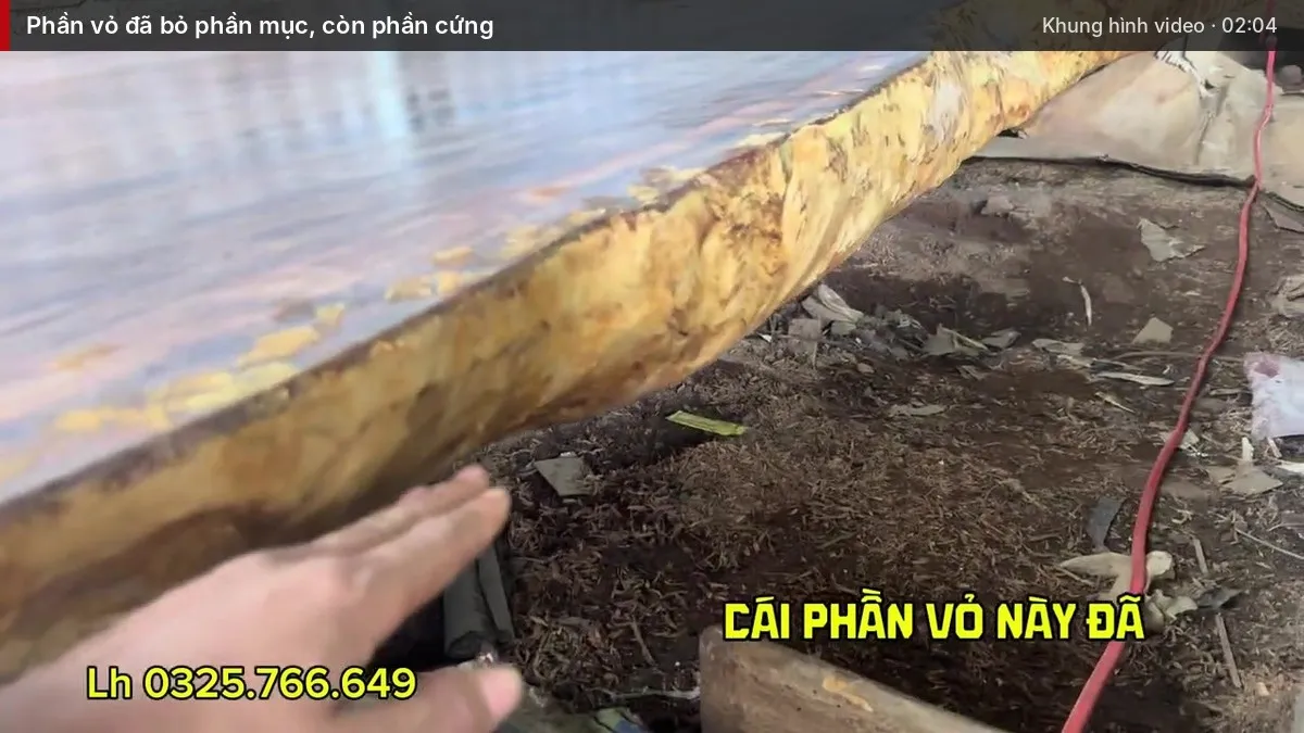Phần vỏ đã bỏ phần mục, còn phần cứng