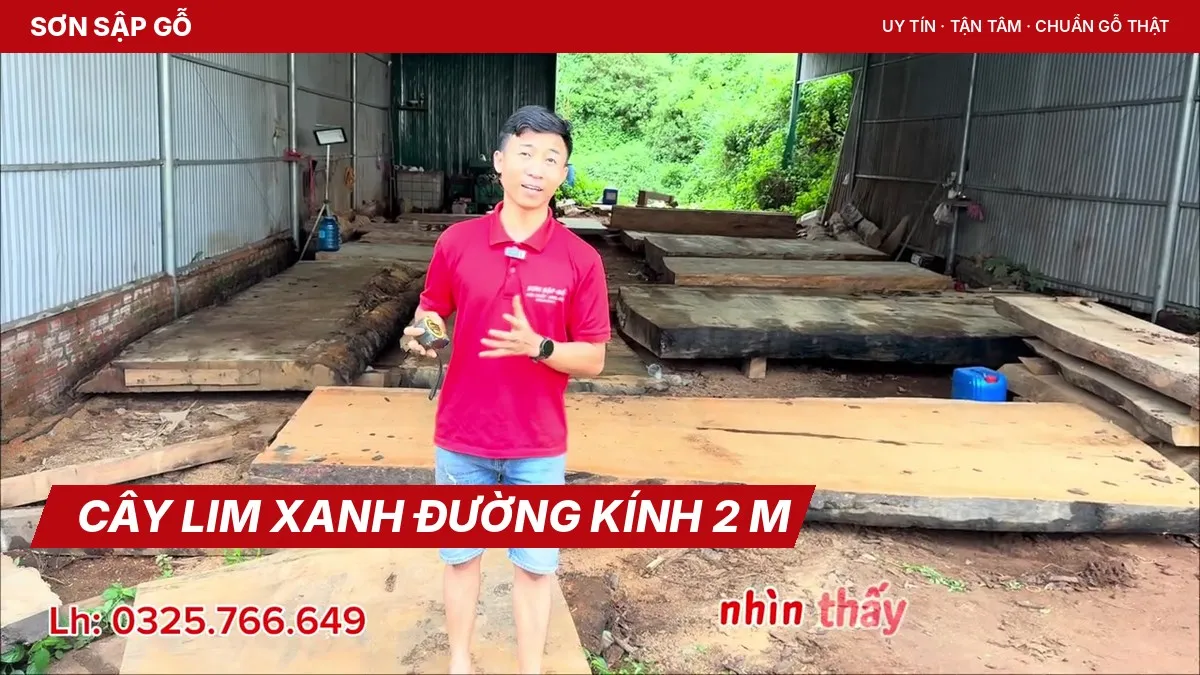 Em Chiến giới thiệu cây lim xanh đã xẻ trong xưởng