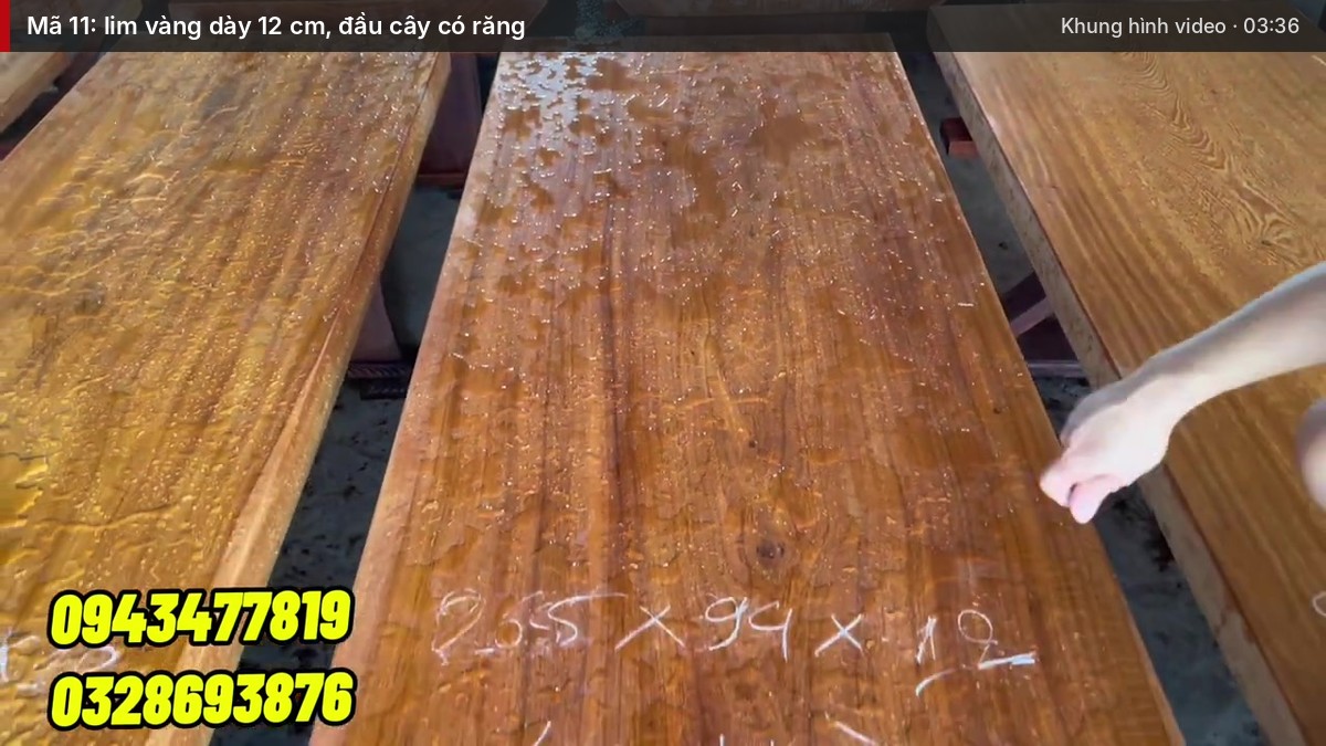Mã 11: lim vàng dày 12 cm, đầu cây có răng Mã 11: lim vàng dày 12 cm, đầu cây có răng