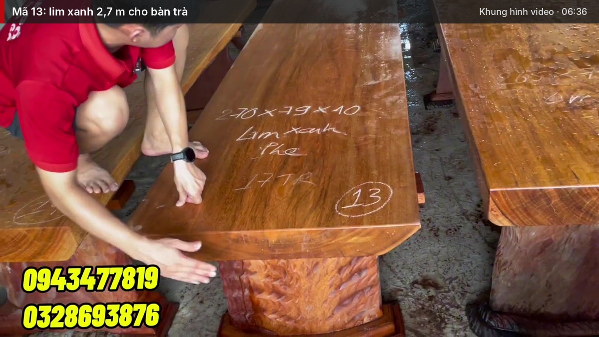 Mã 13: lim xanh 2,7 m cho bàn trà Mã 13: lim xanh 2,7 m cho bàn trà