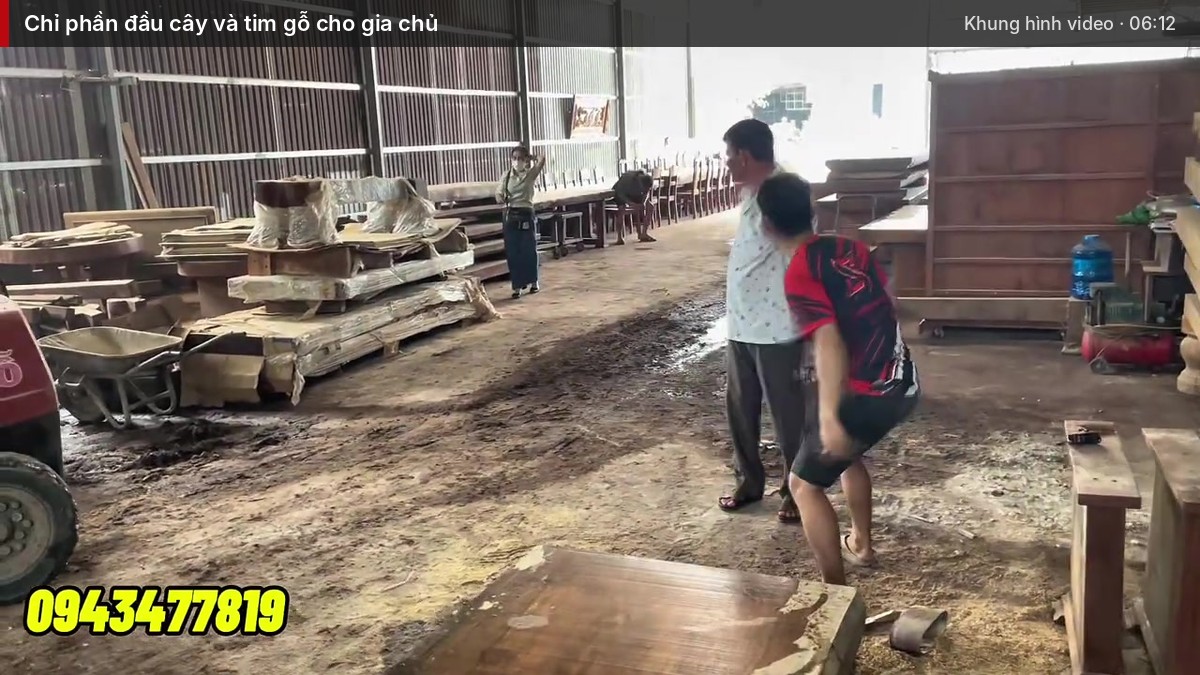 Chỉ phần đầu cây và tim gỗ cho gia chủ Chỉ phần đầu cây và tim gỗ cho gia chủ