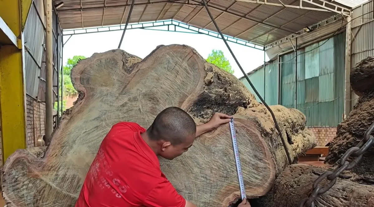 xẻ gỗ lim xanh
